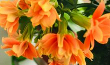 淡看忧伤笑对成长