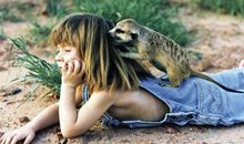 动物是人类的好朋友