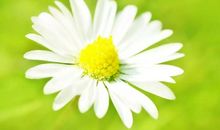 生命静默，终将安然