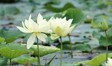 滴滴汗水有苦乐