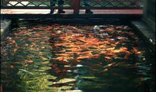 我给校园拍张照