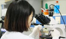 来之不易的幸福