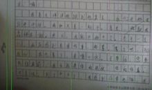 有你陪伴真好作文