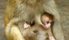 那对母子带给我的感动