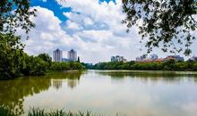 一条河流的自述