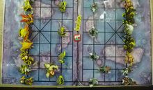 我迷上了中国象棋