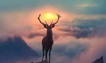 开启人生大门，我成长，我担当