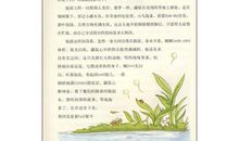 《丛林故事》读后感