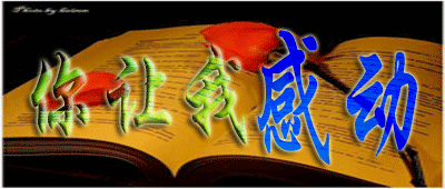 你感动了我