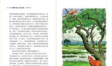 母豺火烧云读后感