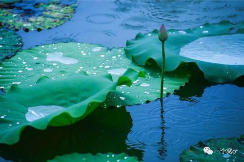 深圳雨
