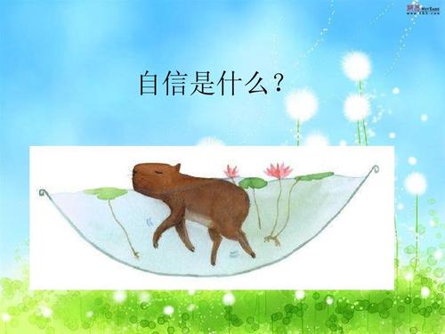 信心与成功
