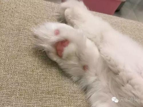 给自己一个责任