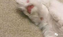 给自己一份责任