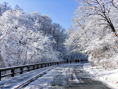 2019年冬天的第一场雪