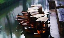 流浪的人，漂泊的心