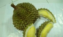 榴莲给我的启示