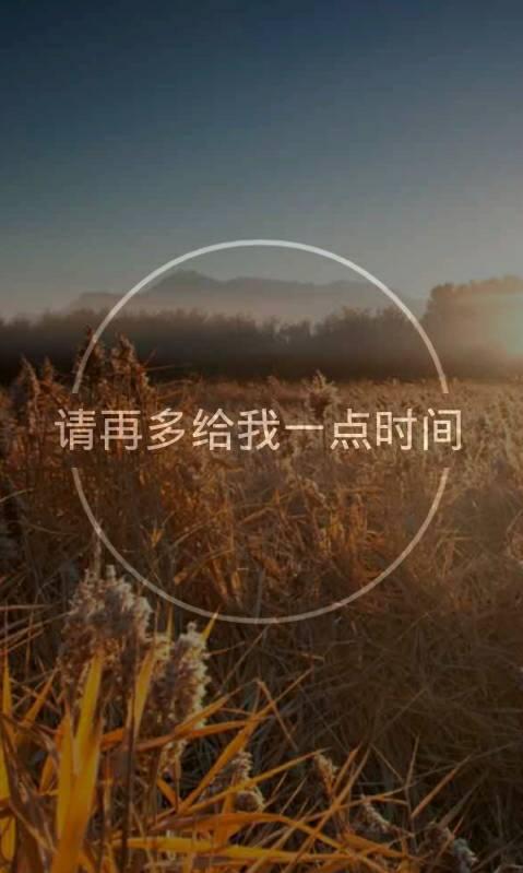 请再给我一点时间