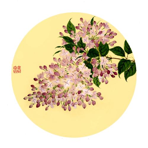 记得春节