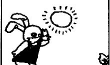 小兔过河看图写话二年级