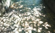 透过岁月的星光