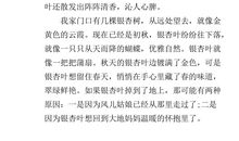 我的校园写景400字作文