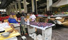 去菜市场买菜作文