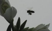 池塘牵动我的情思