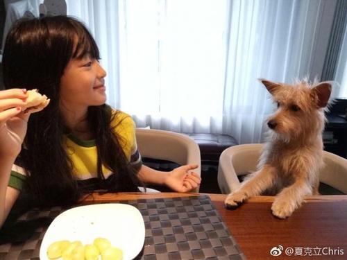 可爱的桌友