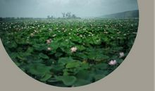 时尚是一种修行