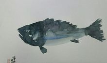 我非子，子固非鱼也