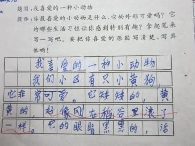 可爱的动物组成二年级