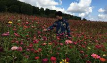 新家的景色多么美