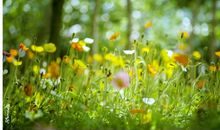 浅笑中的一抹寂寞