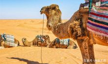 传统文化独特的美