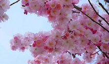 冬日里的那一抹温暖