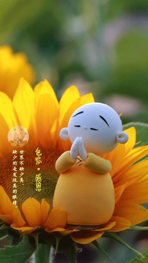 发现美丽的眼睛