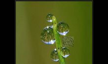 生活中的小水滴