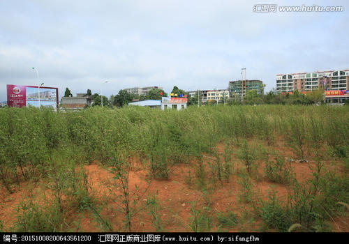 我心中有一片荒原