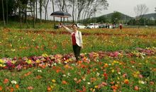 当孤单的种子开出了花