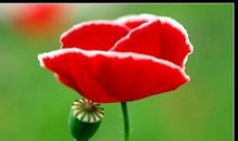 抵抗邪恶的毒品