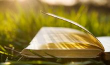 豁达，是最美的生命姿态