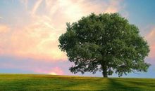 渐渐的我理解了