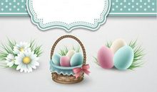 我家的“小客人”