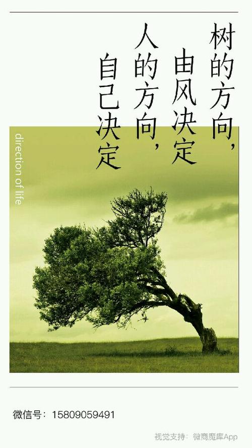 人生无悔