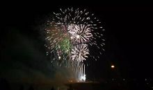 你绽放的样子真美