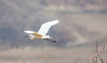 学会思考，学会权衡