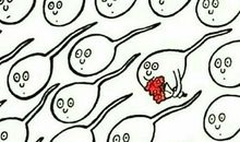 不要捉小蝌蚪看图写话