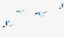 我的梦想从笕桥起飞