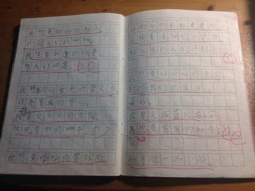 我和孙悟空一起度过了一天，写了400字